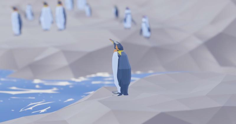 penguins